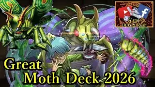 Moth Deck 2026 Rush Duel #deckprofile #deck #yugioh #yugiohdeckprofile #konami #yugiohcommunity