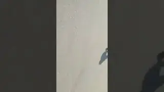 A curti&ccedil;&atilde;o dois j&ecirc;mios