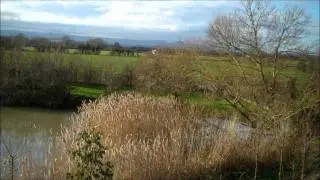 View From Window of Lodge at Lower Lakes