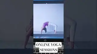 ONLINE YOGA SESSIONS #yoga #yogaandwellness #chakrasana #spinehealth #spineflexibility #onlineyoga
