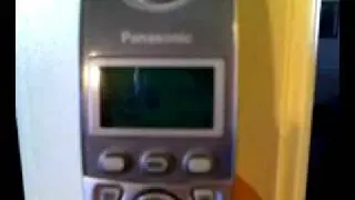 Adobe Customer Service delays