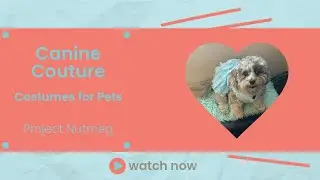 Dressing Up Dogs: Safe and Fun Costume Tips for Your Pup