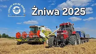 Żniwa 2025 w gospodarstwie rolnym Drozd | Claas dominator 98sl | Case 5140 pro 