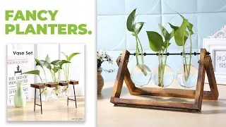 Glass and Wood Vase Planter For Hydroponics Plants | Make Your Own Plant Display!