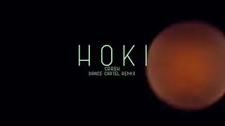 HOKI - Crash (Dance Cartel Remix)