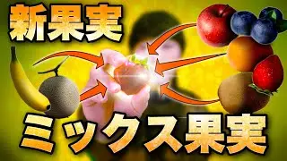 ミックスジュースを固めて新果実「ミックス果実」を作れ！