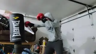 Everlast Powercore Freestanding Heavy Bag | Test | Workout | Mediocre boxing and kicking