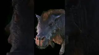 Truco del daeodon #arksurvivalevolved #ark #viral