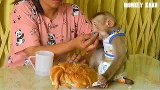 Baby Monkey, Mother Hand Feed Monkey Kako Eating Bread Crab, Monkey Eat Buns