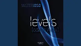 Levels (Ode to Avicii)