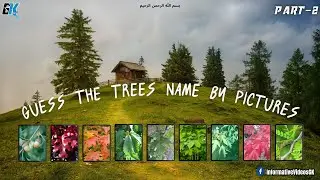 Guess The Trees Name by Pictures | Quiz Time | Informative Videos GK | General Knowledge | 28 April