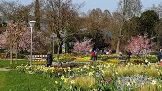 LIVE STREAMING FROM LUISENPARK MANNHEIM GERMANY EUROPE