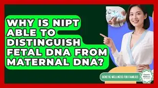 Why Is NIPT Able To Distinguish Fetal DNA From Maternal DNA? - Genetic Wellness for Families