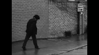 Lost Dog || VCE Media short film 2022