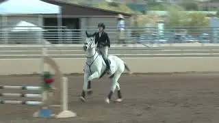 Horse show video Fuerst Fortune