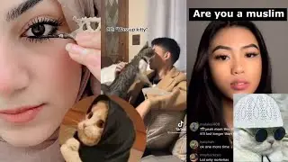 Muslim Tiktok and Namazi Cats (reaction)