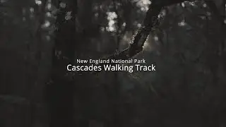 New England National Park - Cascades Walking Track | Sony FX30 |