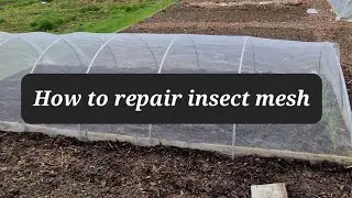 How to repair insect mesh