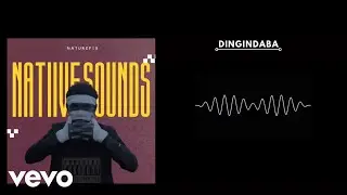 Naturefix - Dingindaba [Official Lyric Video]