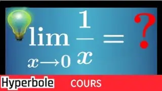 comprendre les limites des fonctions usuelles x et 1/x graphiquement - important et facile