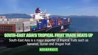 South-East Asia's tropical fruit trade heats up