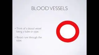 What Is Cholesterol and Why Check It?