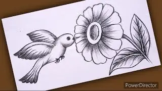FLOWER With Cute BIRD Drawing | Bird With Flower Drawing Step by Step