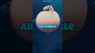 Biggest Gaps of Onepiece