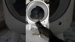 els pet Orbitie self cleaning litter box with app control #elspet #selfcleaninglitterbox