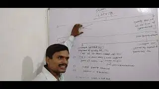gratuity part 1,INCOME TAX,CA INTERMEDIATE,NOV 2022 EXAM