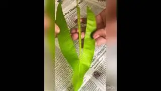 Create Stunning Festival Decor with a Leaf Bouquet #flowers #art #gardening #diy
