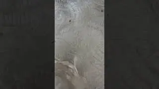 بدأت قناة 