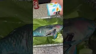 Catching and Rating Every Fish In Hawaii Uhu (Parrotfish)