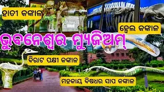 Bhubaneswar Museum | Regional Museum of Natural History | Odia vlogs | #tusharesh | @Tusharesh