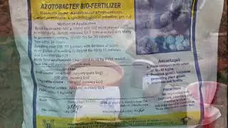 Use of Bio Fertilizers - Azotobacter .... ...