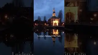 Magical Nights along the Water - The Netherlands #shorts #thenetherlands #waterfront #slowliving