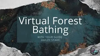 Guided Virtual Forest Bathing Session