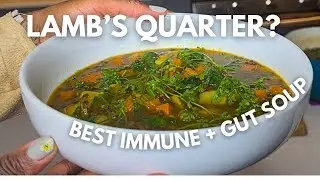 Lamb&rsquo;s Quarter Lentil Soup | Gut-Soothing, Anti-Inflammatory, & Comforting AF