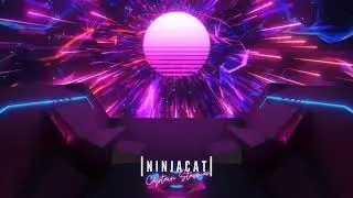 Ninjacat - 