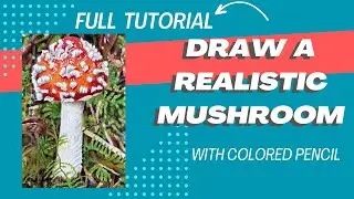 Draw a Realistic Mushroom with ONLY 24 Polychromos Artists' Color Pencil Set!