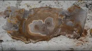 Cutting Cool Agates, Banded Iron, Purple Jasper & Chert