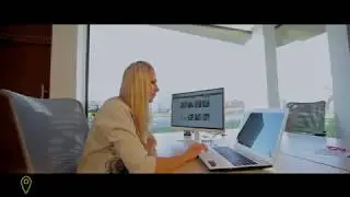 Automation of the shelter's work by animal-id.info