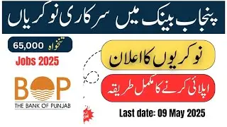 Bank of Punjab Islamic Banking Jobs 2025 | Branch Manager Vacancies | Apply Online Now!