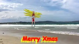 ZYLDAD ANIMATED - Mercy Merry Xmas