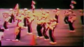 Connecticut  Hurricanes- 1981
