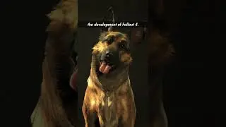 Теории о собачьем мясе неслучайны | Fallout Talk