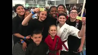 Team Freestyle 2017 in Review