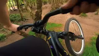 First video at adel woods