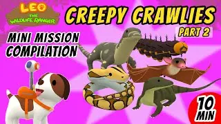 Creepy Crawlies Mini Mission Compilation (Part 2/2) - Leo The Wildlife Ranger