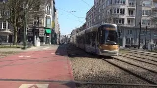 Diverse MIVB trams Louizalaan te Brussel | 17 maart 2016